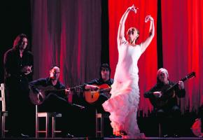 Né au 19e siècle, l'art flamenco continue de fasciner. 