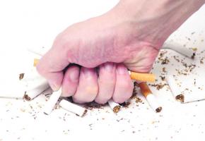Les Genevois ont dit oui à la protection contre le tabagisme passif. 