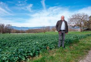 François Erard, directeur d’AgriGenève, prend la pose dans les champs de colza. STEPHANE CHOLLET