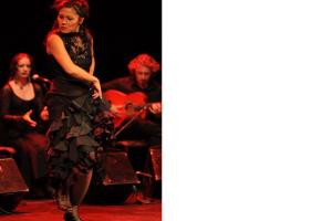 La magie du flamenco sur la scène du Théâtre des Grottes. DR 