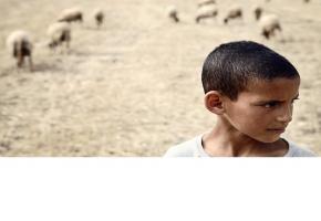 La photographie d’un jeune berger, prise à Tanger par Leila Alaoui, illustre l’affiche du festival. LEILA ALAOUI 