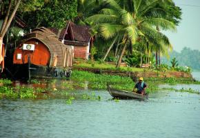 Les célèbres «Backwaters» du Kerala, un immense dédale de canaux, lagunes et lacs bordés de palmiers. 