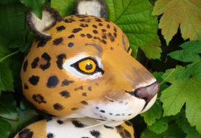 Jaguar finira-t-il par comprendre l’importance de préserver la forêt? DR DR