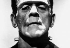 Frankenstein fut imaginé par Mary Shelley en 1816. DR DR