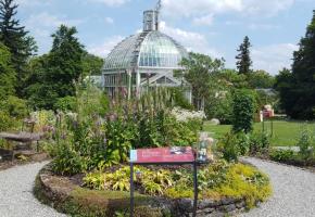 Le Jardin botanique de Genève: un fringant bicentenaire! DR 