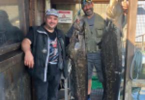 Marco et Jorge, pêcheurs expérimentés, avec leurs prises, dont un silure  de 2 mètres et d’environ 45 kg. DR
