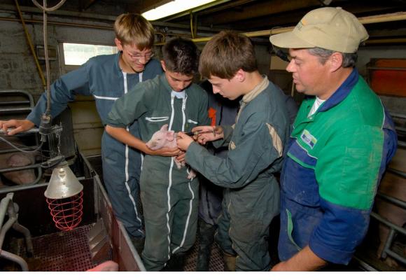 Les jeunes apprentis doivent aussi apprendre à prodiguer des soins aux animaux. 123RF
