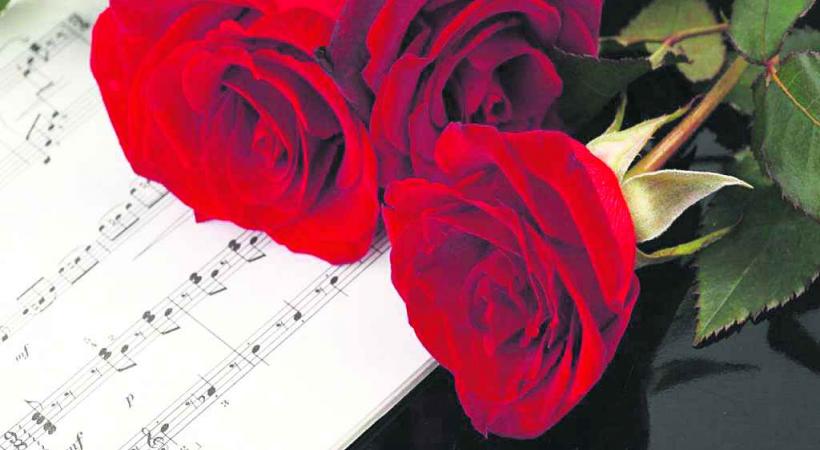 «20 violoncelles pour une rose»