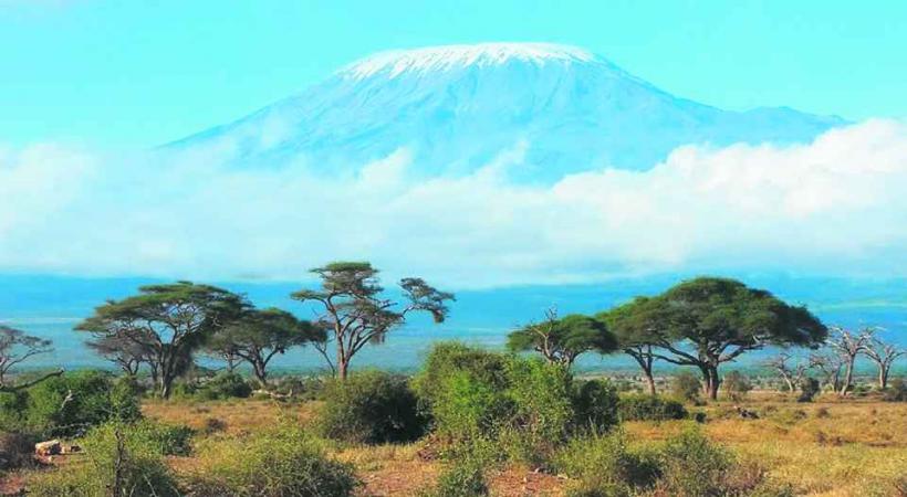 Le Kilimandjaro est le plus haut sommet d'Afrique.