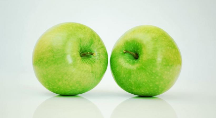 Très saine, la pomme doit être longuement mastiquée pour être bien digérée. DR