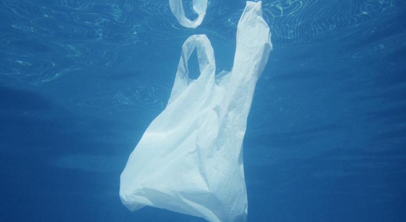 Un sac en plastique dans l’eau. Le lac en contient 