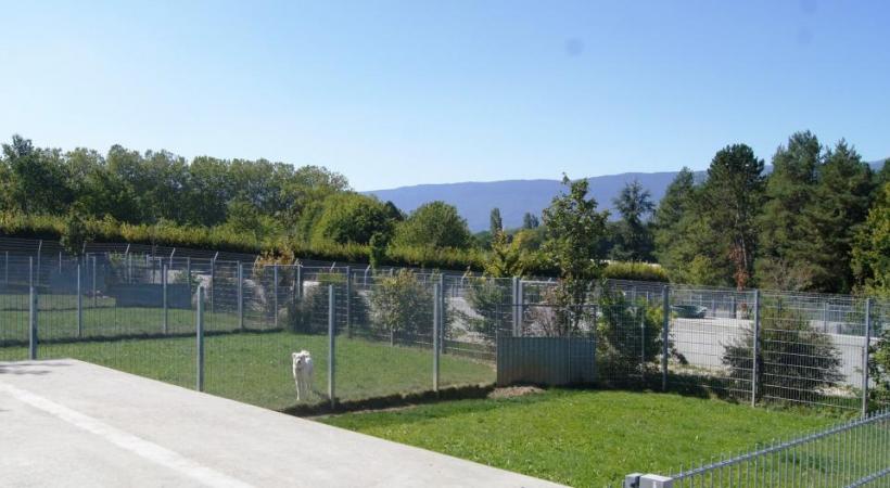 Rénové en 2010, le refuge de Vailly comprend des parcs où les chiens peuvent s’ébattre à loisirs. DR
