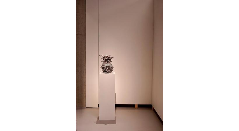 «Hanabi»: curieuse sculpture. LK
