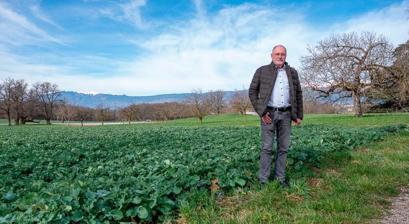 François Erard, directeur d’AgriGenève, prend la pose dans les champs de colza. STEPHANE CHOLLET