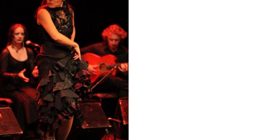 La magie du flamenco sur la scène du Théâtre des Grottes. DR 