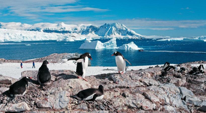 Les pingouins font figure de stars en Antarctique. ANDREA MEADER Le Zodiac permet de louvoyer dans les zones les plus inaccessibles . ANDREA MEADER La nature se plaît à sculpter les plus belles structures glacées. ANDREA MEADER 
