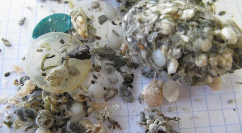 Filet pour prélever les microplastiques dans le Léman. En médaillon: échantillon de particules de plastiques retrouvées dans le lac. LABORATOIRE CENTRAL ENVIRONNEMENTAL (GR-CEL) EPFL 
