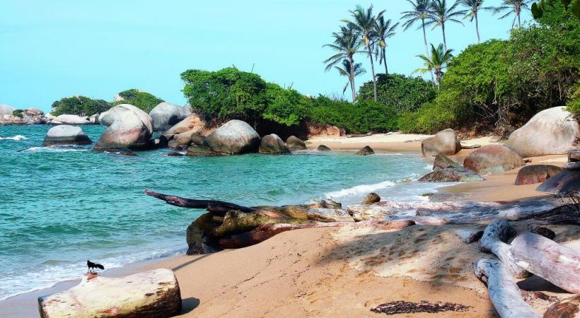 Les plus belles plages de Colombie se trouvent peut-être sur la côte caraïbe dans le Parc National naturel de Tayrona. 