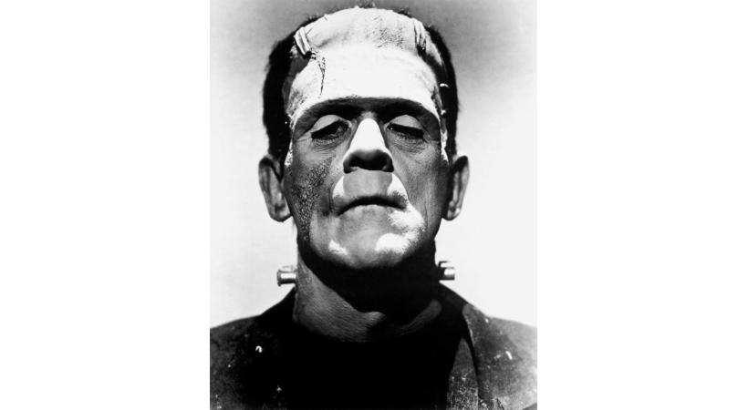 Frankenstein fut imaginé par Mary Shelley en 1816. DR DR