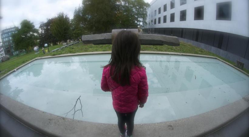 La Ville de Genève compte 357 fontaines publiques. A ce jour, 302 sont conformes, dont le bassin du Musée d’histoire naturelle, qui a été mis aux normes. STÉPHANE CHOLLET 
