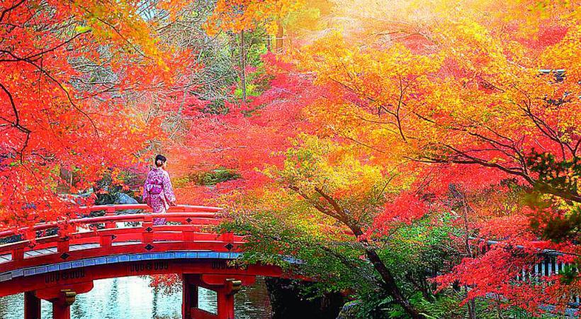 L’automne est tombé sur Kyoto. dr
