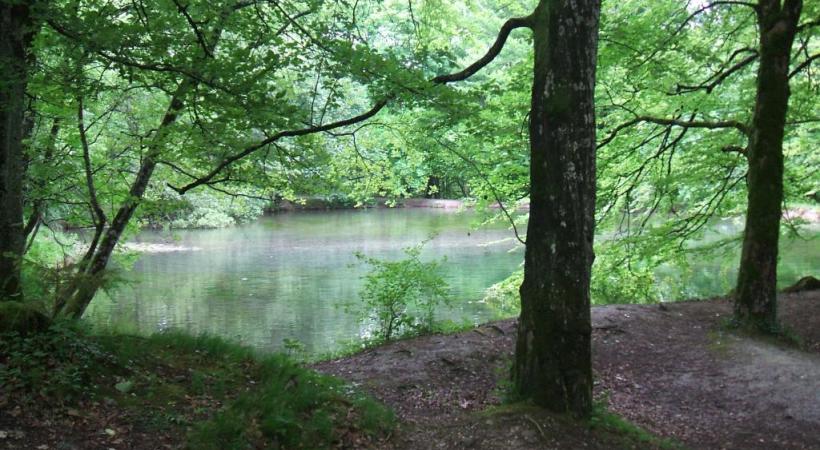 Le silence règne au bord de l’étang  aux Moines. DR Une balade de 5.7 km. Durée 1h40. Kümmerly+Frey  