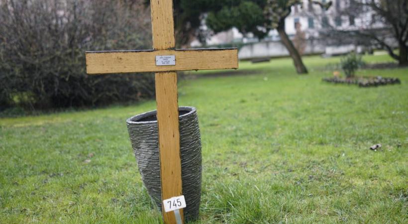 Une simple croix en bois et un vase vide ornent la tombe de Jo-Johnny (en médaillon) au cimetière des Rois. CHRISTIAN BONZON/DR