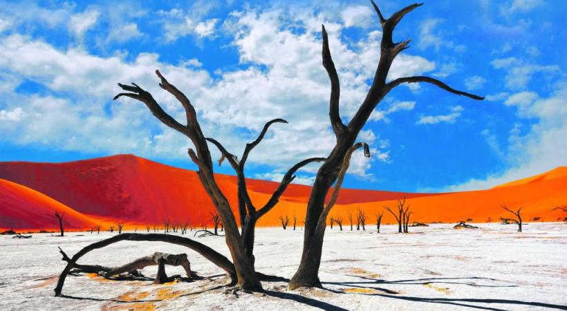 Les dunes de Sossusvlei Park, dans l’ouest du pays, sont emblématiques de la Namibie. 123RF/OLEG ZNAMENSKIY 