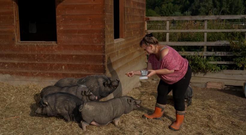 Isabelle Guignard s’occupe des cochons vietnamiens de La Gavotte depuis dix ans. CHRISTIAN BONZON
