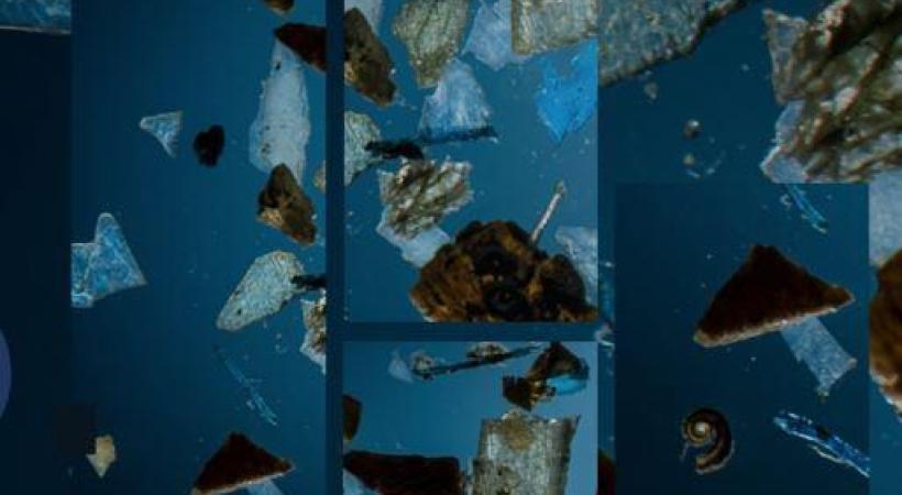 Des fragments de microplastiques presque magnifiés par le photographe Fred Merz. OCEANEYE