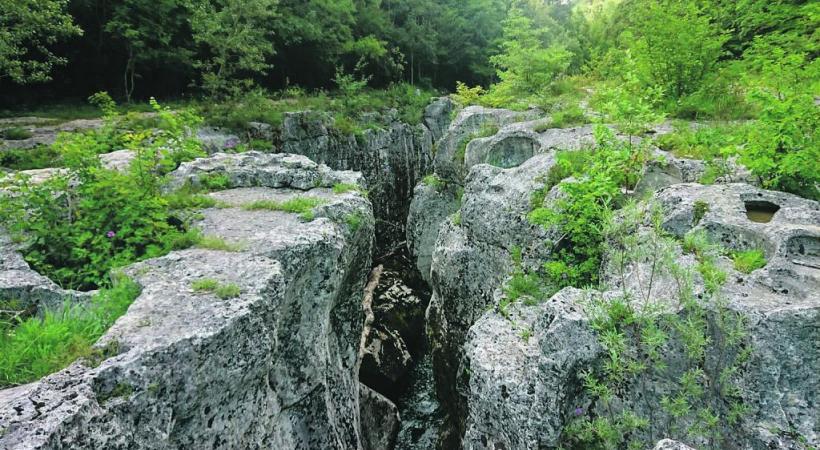 Une balade à la découverte du trésor géologique de la Valserine. MP